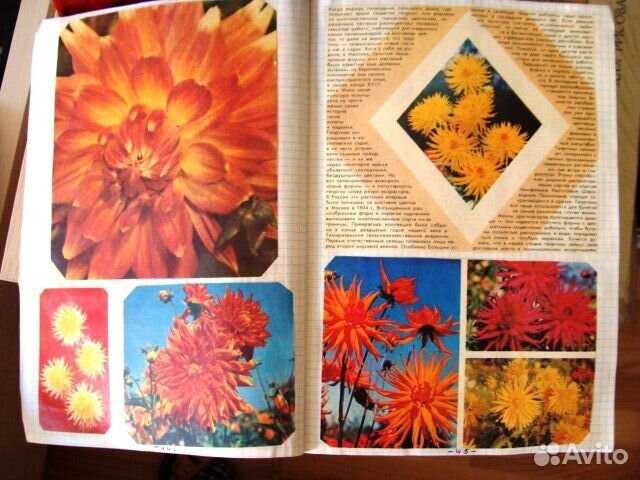 Пособия для чтения