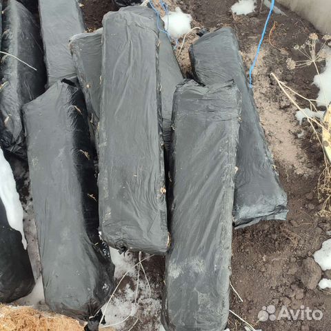 Грибные блоки вешенка