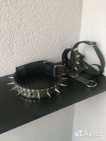 Амуниция для собак