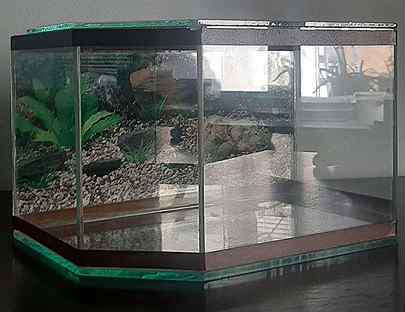 Аквариум или Террариум 7 литров для рыб и черепах