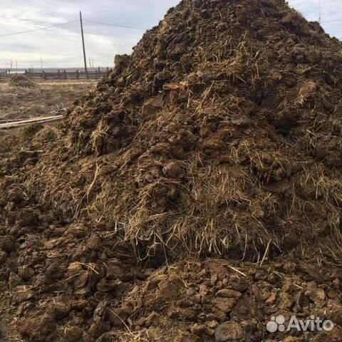 Отдам навоз