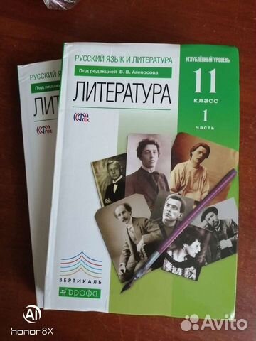 Литература 10-11 класс, углублённый уровень