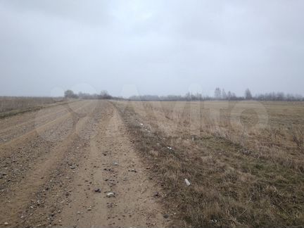 Участок 2,5 га (СНТ, ДНП)