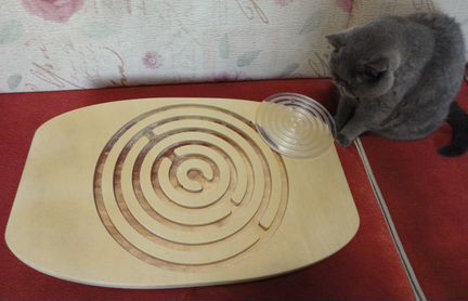 Баланс борд с 2-мя крестовинами+ мини 