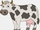 Продам корову стельную