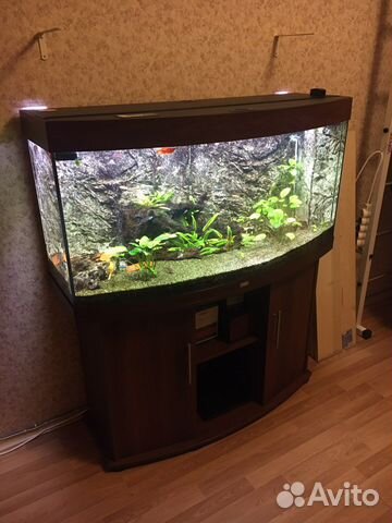 Аквариум Juwel Vision 260 с тумбой