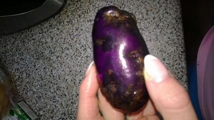 Картофель фиолетовый синий картошка на еду,посадку