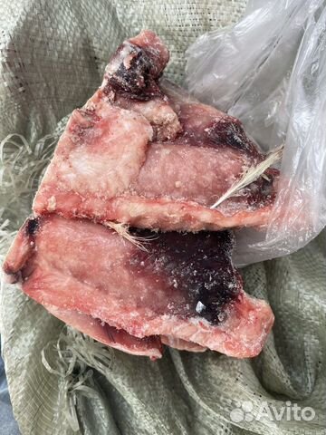 Мясо на кости индейка/мясо для собак