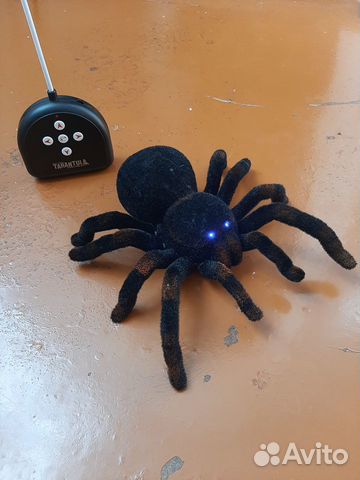 Тарантул на радиоуправлении
