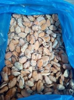 Мидии(мясо) Мидии в створках в/м