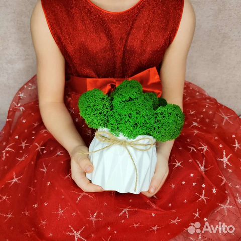 Горшочки со Мхом