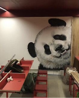 Роспись стен, граффити на заказ, оформление стен