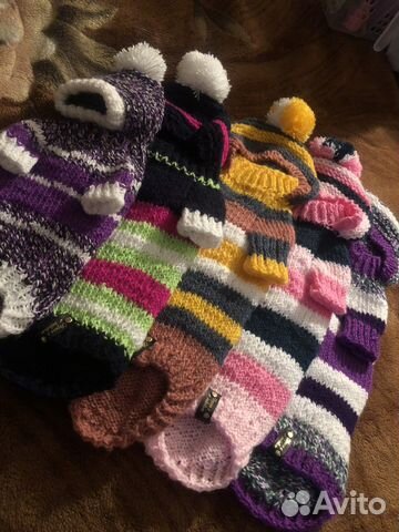 Вязаная одежда для собак