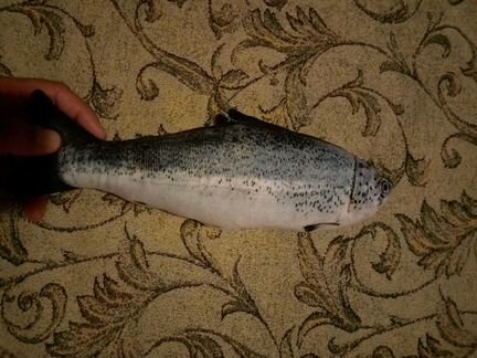 Игрушка, игрушка рыба, рыба