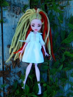 Monster High ooak