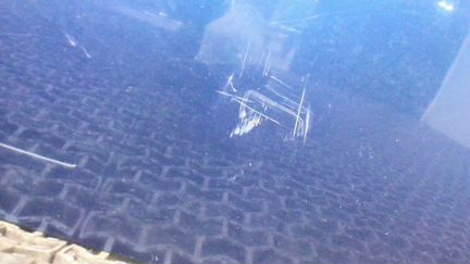 Крышка багажника Ford Mondeo 3, 2006