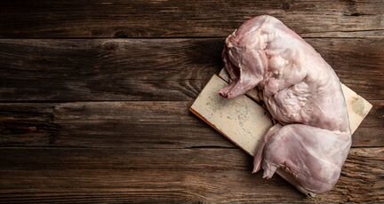 Мясо кролика