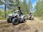 Квадроцикл promax forest hunter 300 объявление продам