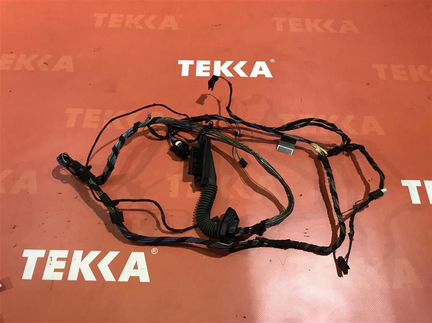 Проводка двери задней правой бмв Х5 Е70