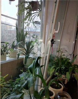 Комната 16 м² в 2-к, 4/5 эт.