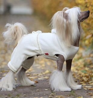 Комбинезон для собак ForMyDogs (унисекс)