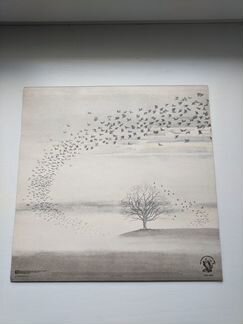 Genesis 