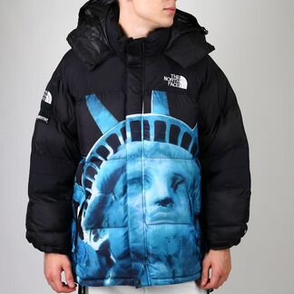 Куртка The North Face статуя чёрная