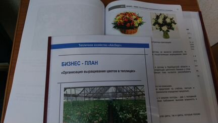 Разработка бизнес - плана с фин. моделью. тэо