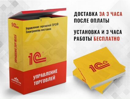 1С:Управление торговлей 8 Проф Эл/ поставка
