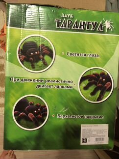 Тарантул tarantula