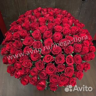 Розы Эквадор.Букет 101 Р.Доставка