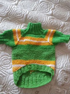 Одежда для собак