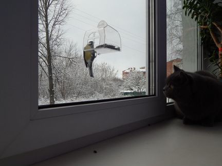 Кормушка для птиц на окно