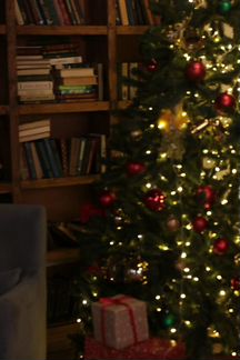 Подарок свитер с оленями