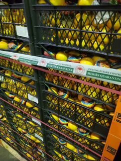 Мандарины оптом без брака