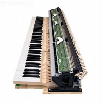 Цифровое casio gp-310 дисконт