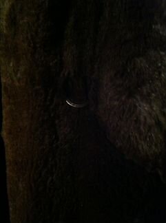 Шуба(стриженный кролик)