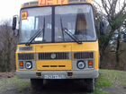 Школьный автобус ПАЗ 3206