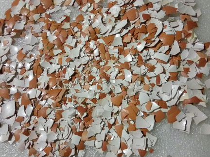 Скорлупа яичная чистая